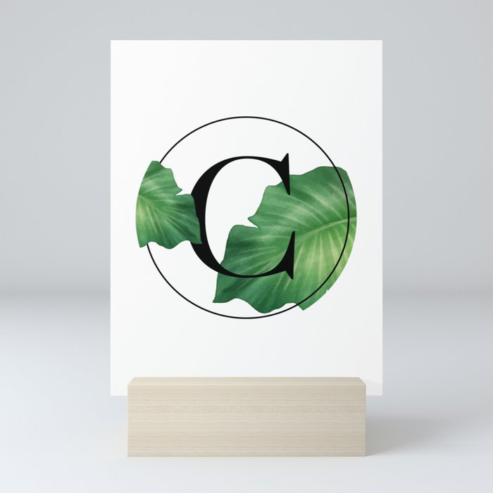 Monogram Leafs - Letter C Mini Art Print