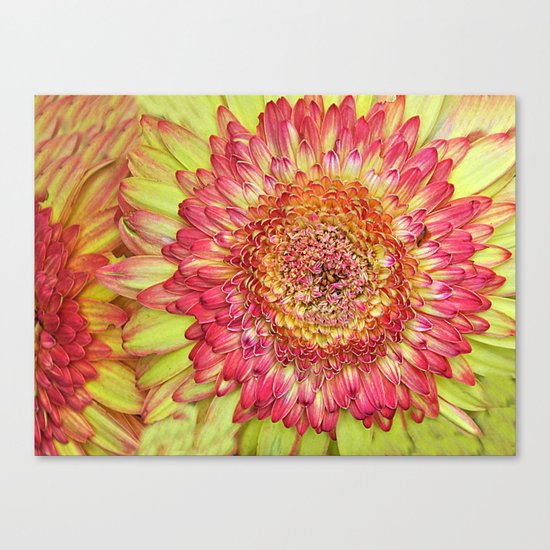 Flower yallow pink Canvas Print