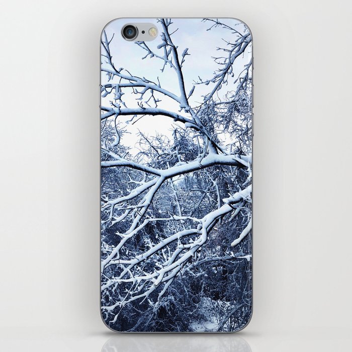 Winter Tree Branch iPhone Skin