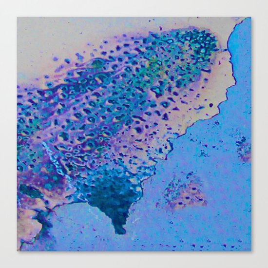 Disintegration Canvas Print