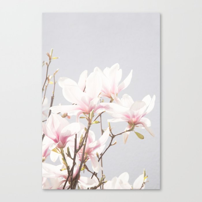 Magnolias #1 #wall #art #society6 Canvas Print
