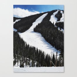 Tiny Skiers Canvas Print
