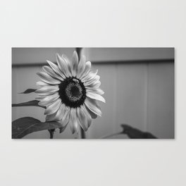 When Is Grey In The Bloom Canvas Print