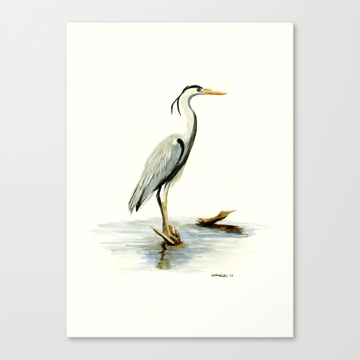 Blue Heron Watercolor Bird Home Decor Nursery Wall Art Canvas Blue Heron Watercolor Bird Home Decor Nursery Wall Art Canvas Print By Drawinginspiration Society6