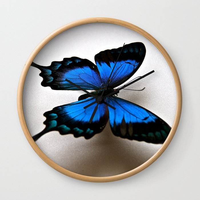 Papilio Lorquinianus Wall Clock