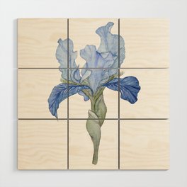 Blue Bearded Iris Wood Wall Art