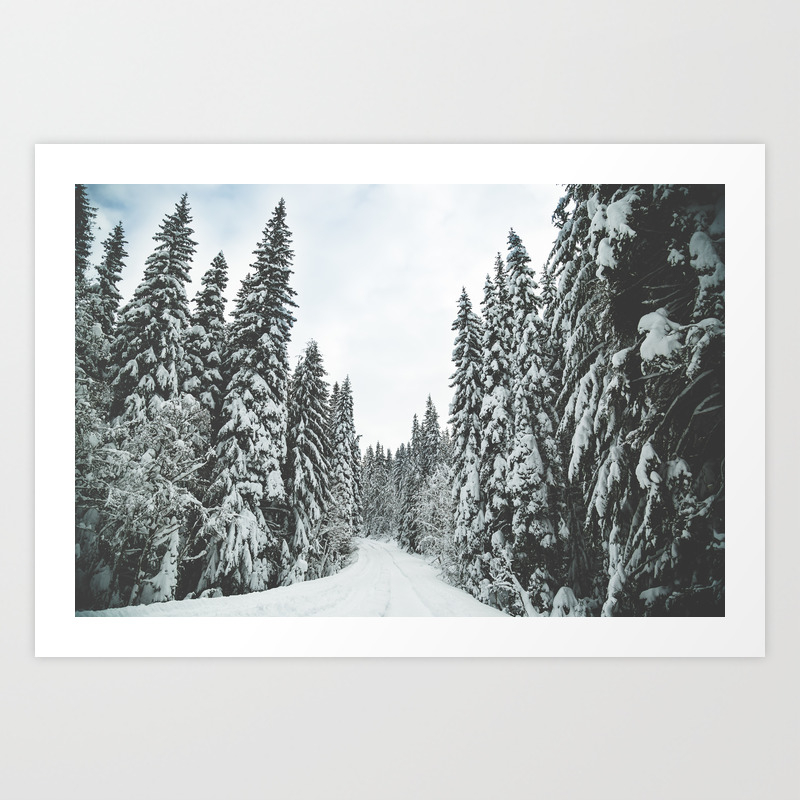 Walking In A Winter Wonderland Art Print By Natashahirtzelphoto