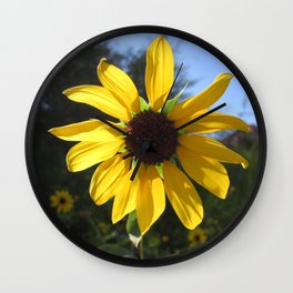 sunflower. Wall Clock | Nature, Photo 