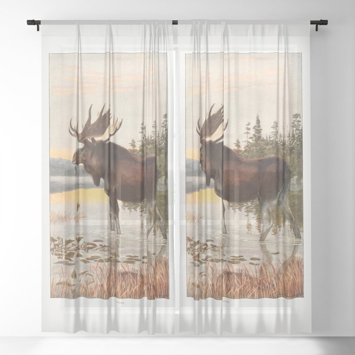 Vintage Moose Sheer Curtain