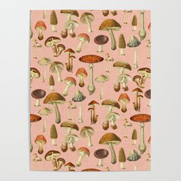 Mushrooms pink Poster