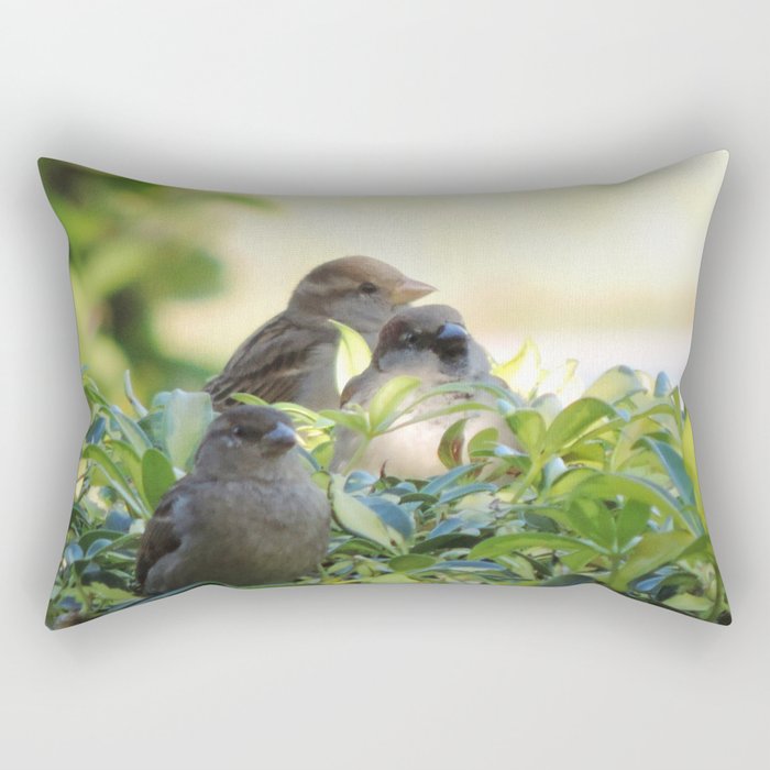 House sparrows in the bush Rectangular Pillow