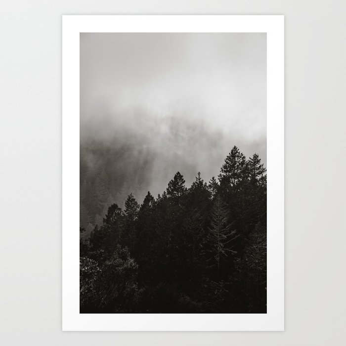 Misty Forest in Black and White II Art Print