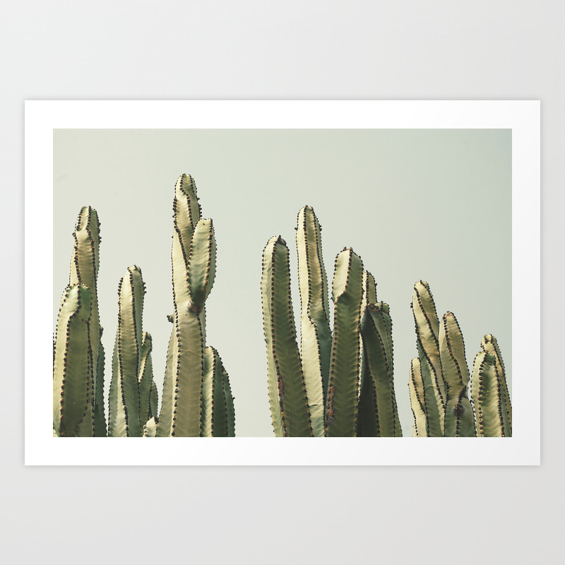 Desert 2 with cactus