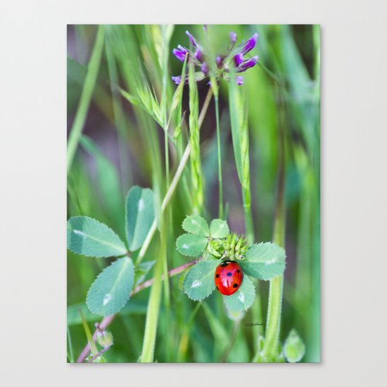 My Lady Canvas Print
