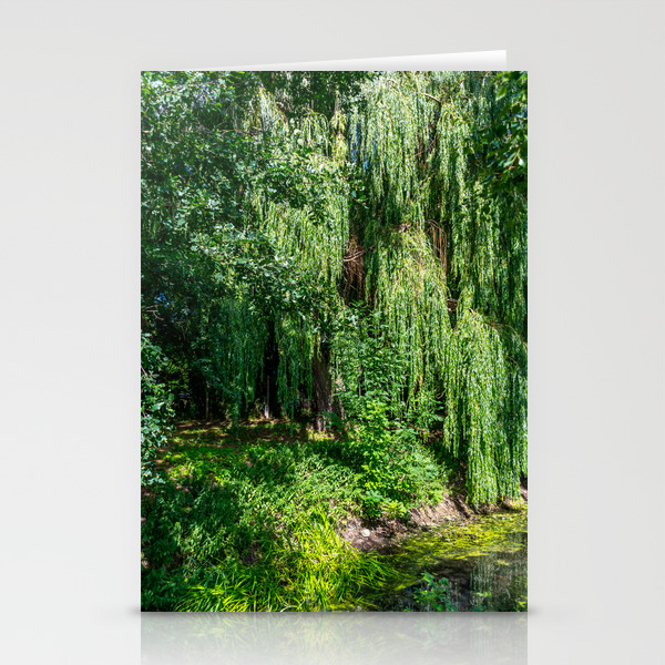 Weeping Willow Tree Stationery Cards By Radibor78 Society6,Vodka And Orange Juice Name