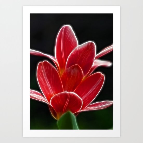 Tulips Art Print