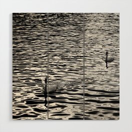 Two swans in the lake | Dispersion of water waves | Black and white photography Wood Wall Art