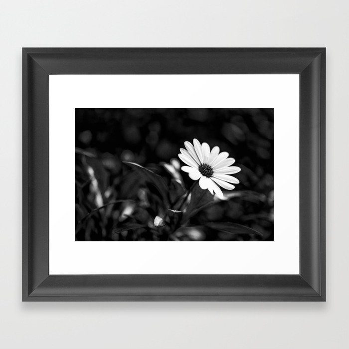 Black and white - flower Framed Art Print by Keagraphics | Society6