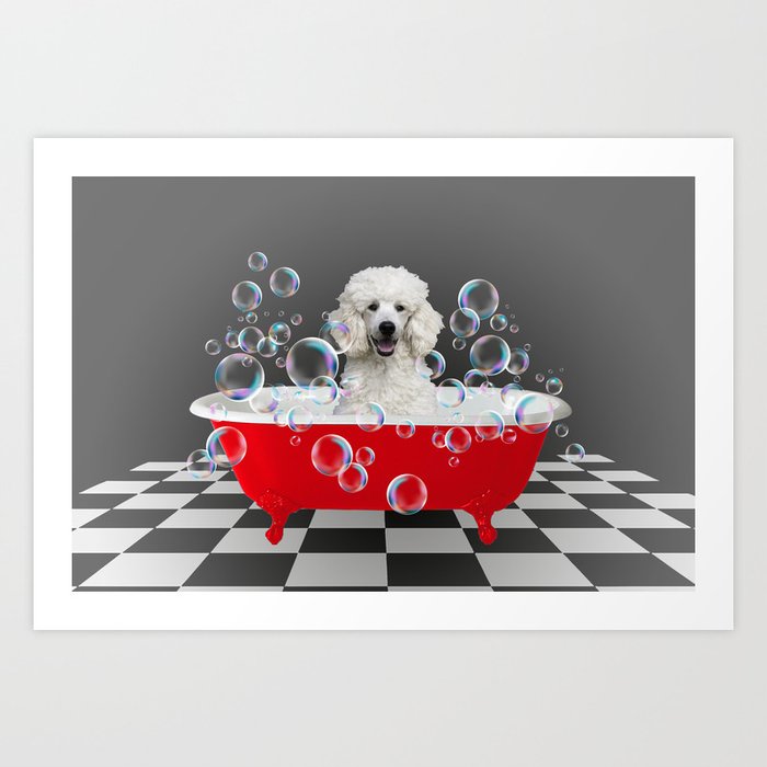 White Poodle - Red Bathtub - Soap Bubbles Art Print