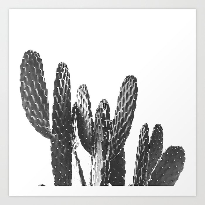 Cactus Photography Print {3 of 3} | B&W Succulent Plant Nature Western Desert Design Decor Art Print
