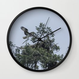 Osprey Reinforcing Its Nest 2017 Wall Clock