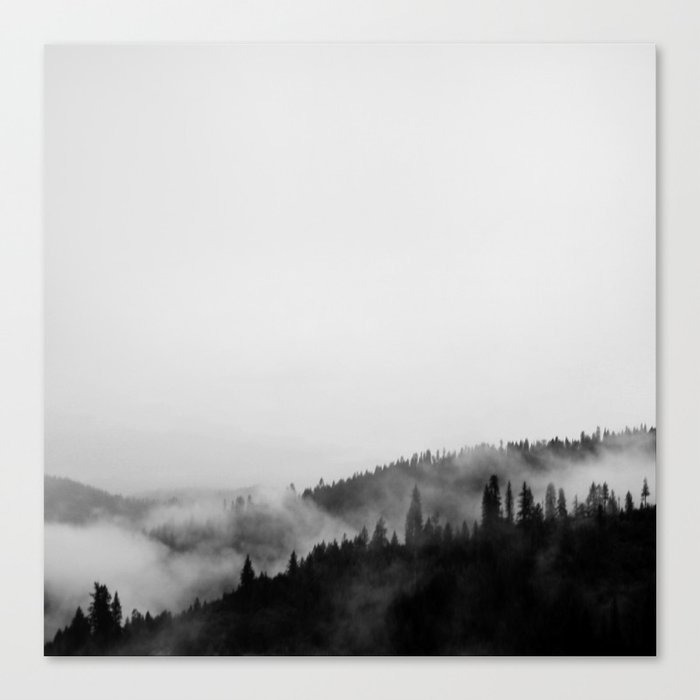 Forest in the Fog Canvas Print