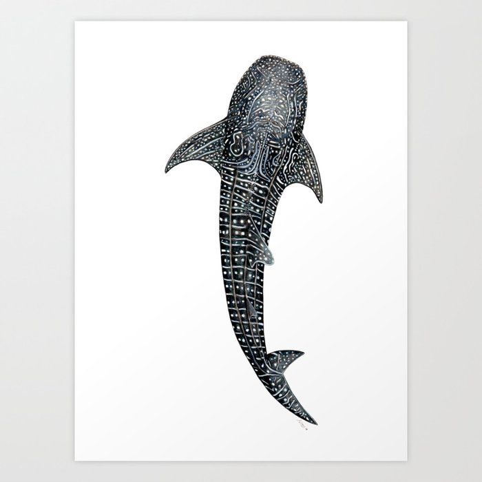 Whale shark for divers, shark lovers and fishermen Art Print
