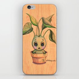 society6
