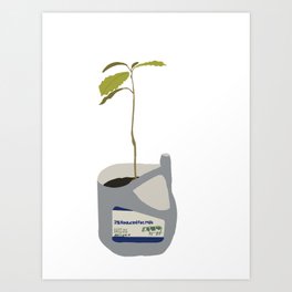 Avocado plant  Art Print