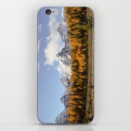 Larch Valley iPhone Skin
