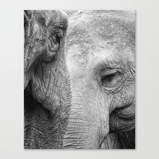 A pair of Pachyderms Canvas Print