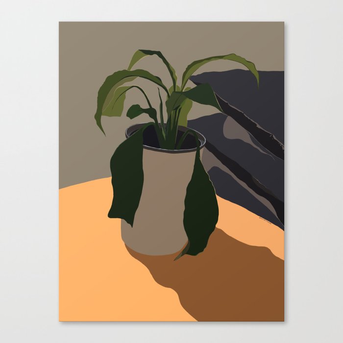 My pot plant Canvas Print