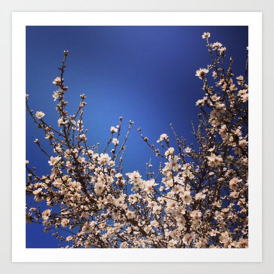 Spring Branches Out Art Print