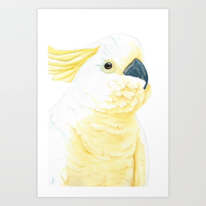 Yellow crested cockatoo watercolor portrait Art Print