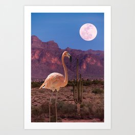 Flamingo in the Desert Art Print