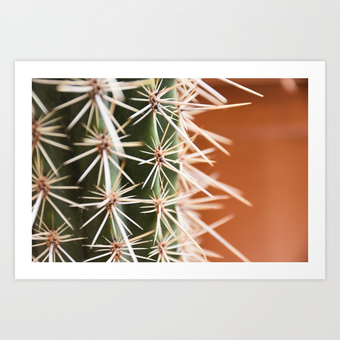 Cactus pattern in Marrakech- Green, terra cotta mediterranean - Travel Photography Art Print