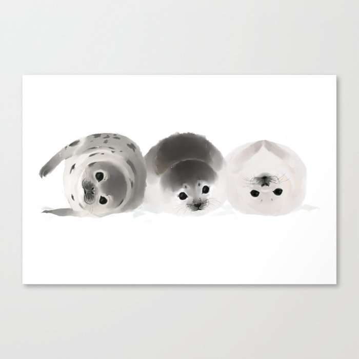Three Seal Pups Canvas Print