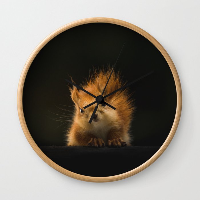 squirrel in the dark Wall Clock