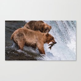 Brown Bear Catching Fish - Alaska Canvas Print