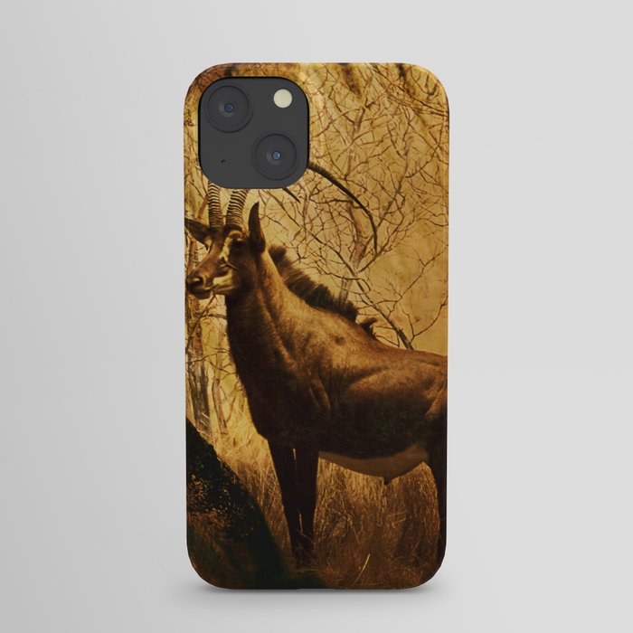 Diorama :: Antelope iPhone Case
