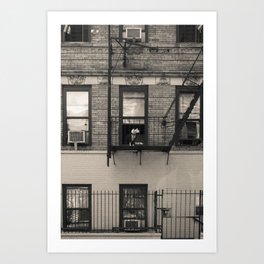 Portrait of a Dog | New York City Urban Street Landscape Photography Art Print