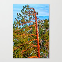 Bent Tree Canvas Print | Leaf, Leaves, Landscape, Nature, Tree, Graphicdesign, Color 