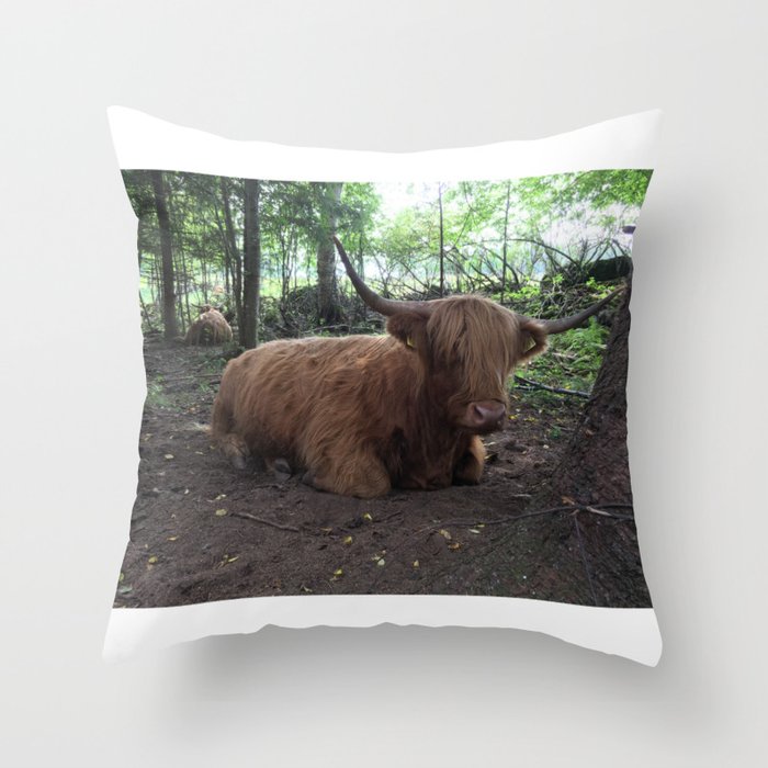 Fluffy Highland Cattle Cow 1185 Throw Pillow