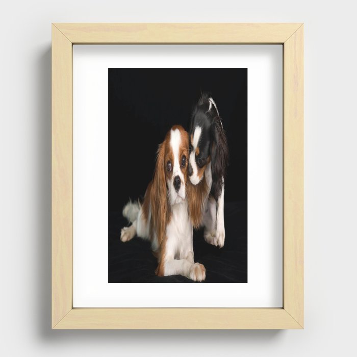 King Charles Spaniel Cavalier Recessed Framed Print