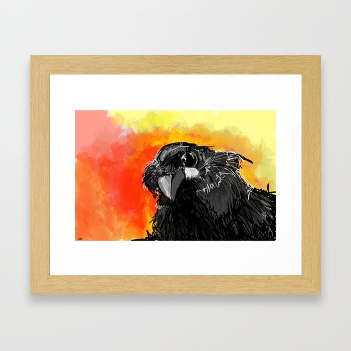 Curious Crow Framed Art Print