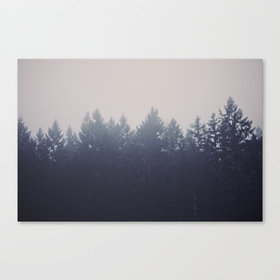 Forest in the Haze Canvas Print