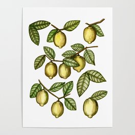 Lemons and Leaves Watercolour Poster