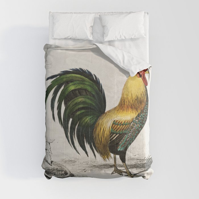 Cock Comforter