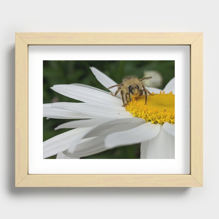 Busy As A Bee: Messy Eater Recessed Framed Print
