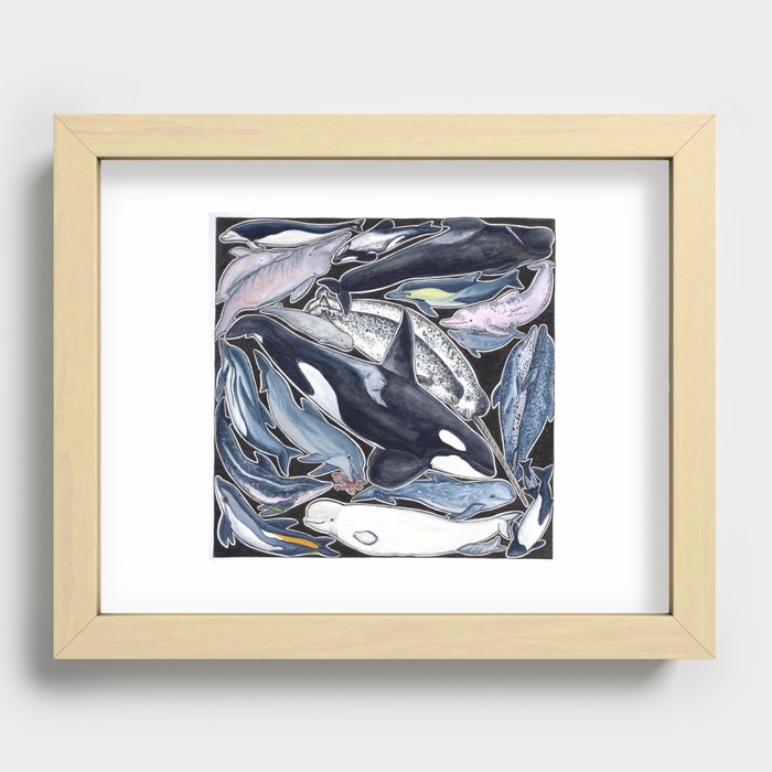 Dolphin, orca, beluga, narwhal & cie Recessed Framed Print